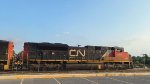 CN 8829